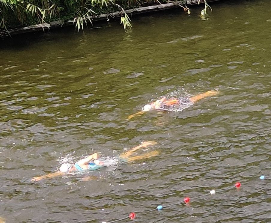 Regressietherapie De Praktyk