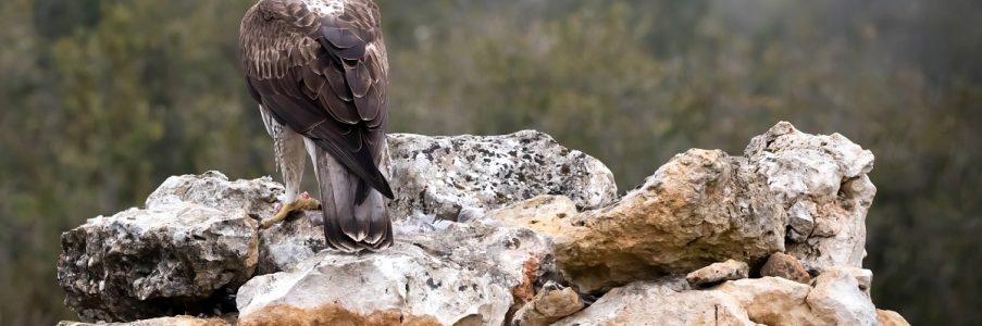 Fysiotherapie voor kinderen met psychosomatische klachten